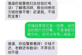 保山遇到恶意拖欠？专业追讨公司帮您解决烦恼